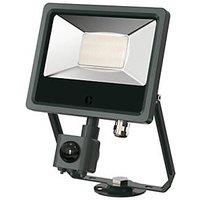 Collingwood Indoor & Outdoor LED Residential Floodlight With PIR Sensor Anthracite 30W 3000 / 3300 / 3900lm (648RW)