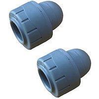 PolyPlumb Enhanced Plastic Push-Fit Socket Ends 22mm 2 Pack (654RF)