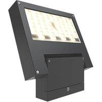 4lite Outdoor LED High Performance Projector Light Graphite 25W 2200lm (656GR)