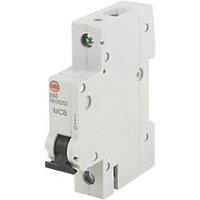 Wylex 50A SP B Curve MCB (66679)