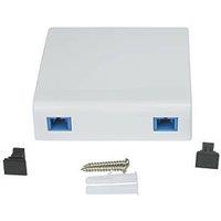Labgear 2 Port Mount Box With Twin SC Adaptor (667KM)