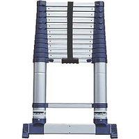 Xtend+Climb ProSeries S2 3.8m Telescopic Ladder (673JJ)