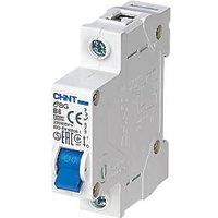 Chint EBG 6A SP B Curve MCB (6786V)