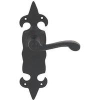 Carlisle Brass Fleur de Lys Door Handles Pair Black (6924H)