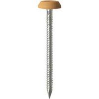 Timco Polymer-Headed Nails Oak Head A4 Stainless Steel Shank 3.2mm x 50mm 100 Pack (692KF)