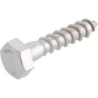 Easydrive Hex Bolt Thread Cutting Coach Screws 10mm x 50mm 10 Pack (6997T)