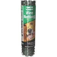 Apollo 25mm PVC-Coated Wire Netting 0.5m x 10m (70359)
