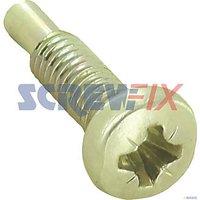 Vaillant S208308 Screw (M4x10mm) (730HC)