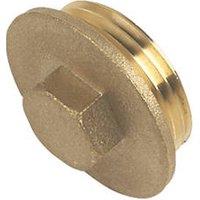 Flomasta Male Flanged Plugs 1" x 2 Pack (74007)
