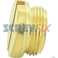 Worcester Bosch 87161124100 BRASS SCREW (759GW)