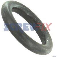Worcester Bosch 87161063570 O RING 2.62 X 9.93 (760HC)