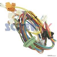 Worcester Bosch 87161126100 MK1 Main Harness (781TP)