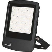 Brackenheath Rex Indoor & Outdoor LED Floodlight Black 200W 24,000lm (800TW)