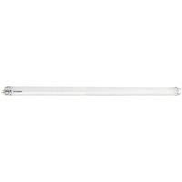 Sylvania TOLEDO AVANT G13 T8 LED Tube 3150lm 21W 1777mm (6') (804VN)