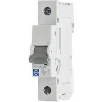 Lewden E10 6A SP C Curve MCB (806HM)