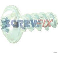 Worcester Bosch 29142113020 SCREW B4X10-ST-H (807GW)