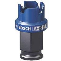Bosch Expert Steel Holesaw 20mm (815RR)