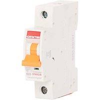 Contactum Defender 25A SP B Curve MCB (839HA)