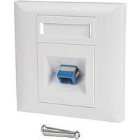 Labgear 1-Gang Fibre Socket White with Colour-Matched Inserts (849KM)