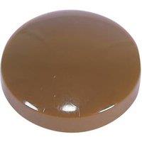 Timco 6-8ga 100 Pack Oak Plastic Screw Caps (891KF)