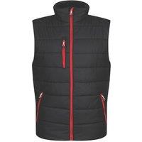 Regatta Navigate Thermal Bodywarmer Black/Classic Red Large 41.5" Chest (896HW)