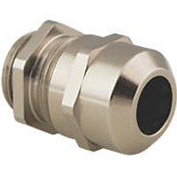 British General Brass Cable Gland Kit 20mm Nickel (9251P)