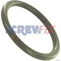 Baxi 401648 ORING - 21.5 X 2.4MM (931JC)