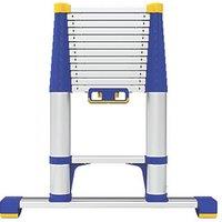 Werner 3.8m Telescopic Ladder (955HA)