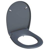 Bemis Click & Clean Classic Soft-Close with Quick-Release Toilet Seat Thermoset Plastic Grey (990JP)