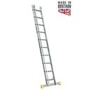 Lyte 4.88m Extension Ladder (207FG)
