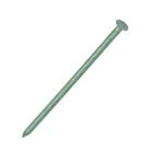 Easyfix Exterior Nails Outdoor Green Corrosion-Resistant 4.5mm x 100mm 0.25kg Pack (28808)