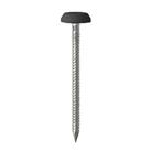 Timco Polymer-Headed Nails Black Head A4 Stainless Steel Shank 2.1mm x 50mm 100 Pack (480KF)