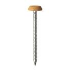 Timco Polymer-Headed Nails Oak Head A4 Stainless Steel Shank 2.1mm x 50mm 100 Pack (692KF)