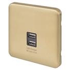 Schneider Electric Lisse Deco 3.1A 10.5W 2-Outlet Type A USB Socket Satin Brass with Black Inserts (