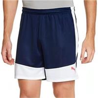 Puma Evo TRG Mens Training Shorts Blue Gym Excerise Workout Fitness Breathable - 24" Regular