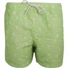 Nordam Fruit Pack Mens Swim Shorts - Green