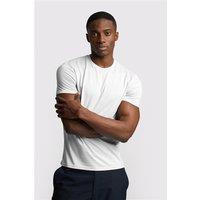 Limehaus 100% Egyptian Organic Cotton Crew Neck Regular Fit T-Shirt, Egyptian Cotton, White