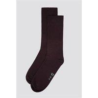 Limehaus Burgundy Socks by Suit Direct