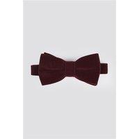 Limehaus Burgundy Velvet Bow Tie Red by Suit Direct