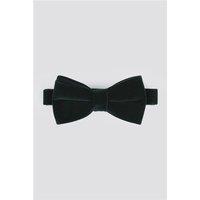 Limehaus Emerald Velvet Bow Tie Green by Suit Direct