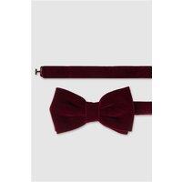 Antique Rogue Burgundy Velvet Bow Tie Red