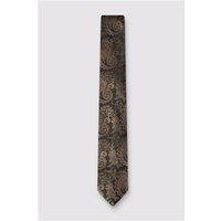 Antique Rogue Chocolate Paisley Tie Chocolate