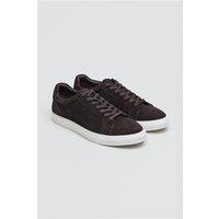 Antique Rogue Gibbs Brown Suede Trainer