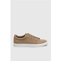 Antique Rogue Gibbs Stone Suede Trainer