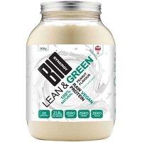 Bio-Synergy Lean and Green Raw Vegan Protein