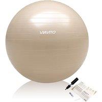 Viavito 500kg Studio Anti-burst 65cm Gym Ball