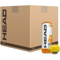 Head TIP Orange Mini Tennis Balls - 5 Dozen