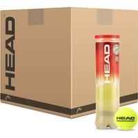 Head Championship Tennis Balls - 6 Dozen