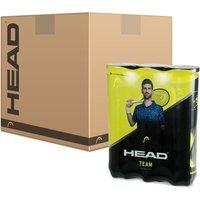 Head Team Tennis Balls - 6 Dozen