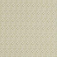 iLiv Aztec Fabric Pampas